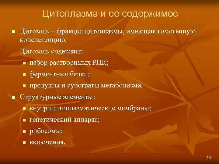 Цитоплазма и ее содержимое n Цитозоль – фракция цитоплазмы, имеющая гомогенную консистенцию. Цитозоль содержит: