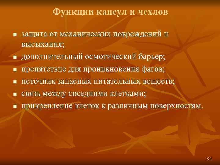 Функции капсул и чехлов n n n защита от механических повреждений и высыхания; дополнительный