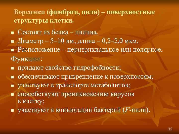 Ворсинки (фимбрии, пили) – поверхностные структуры клетки. n n n Состоят из белка –