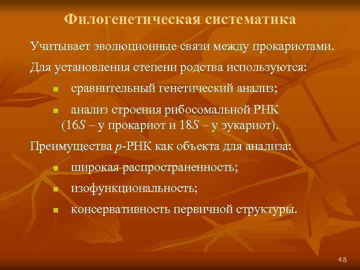 Филогенетическая систематика Учитывает эволюционные связи между прокариотами. Для установления степени родства используются: n n