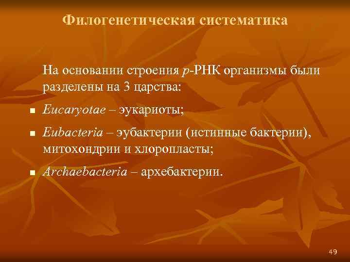 Филогенетическая систематика На основании строения р-РНК организмы были разделены на 3 царства: n n