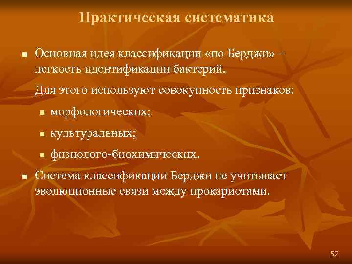 Практическая систематика n Основная идея классификации «по Берджи» – легкость идентификации бактерий. Для этого