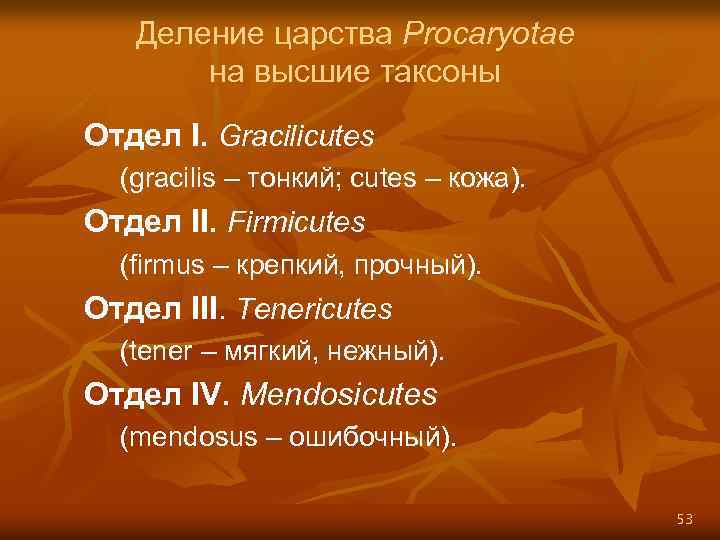 Деление царства Procaryotae на высшие таксоны Отдел I. Gracilicutes (gracilis – тонкий; cutes –