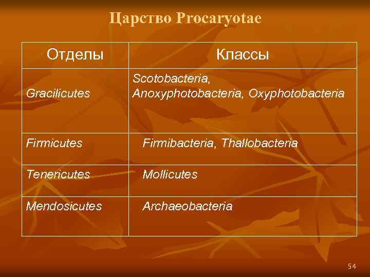 Царство Procaryotae Отделы Классы Gracilicutes Scotobacteria, Anoxyphotobacteria, Oxyphotobacteria Firmicutes Firmibacteria, Thallobacteria Tenericutes Mollicutes Mendosicutes