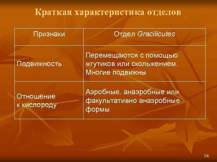 Краткая характеристика отделов Признаки Отдел Gracilicutes Подвижность Перемещаются с помощью жгутиков или скольжением. Многие