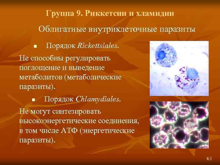 Группа 9. Риккетсии и хламидии Облигатные внутриклеточные паразиты n Порядок Rickettsiales. Не способны регулировать