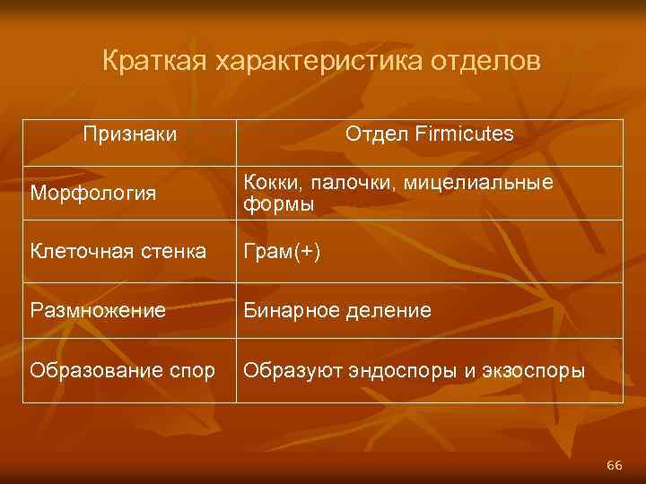 Краткая характеристика отделов Признаки Отдел Firmicutes Морфология Кокки, палочки, мицелиальные формы Клеточная стенка Грам(+)