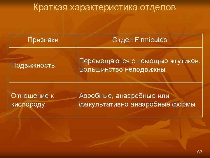 Краткая характеристика отделов Признаки Отдел Firmicutes Подвижность Перемещаются с помощью жгутиков. Большинство неподвижны Отношение