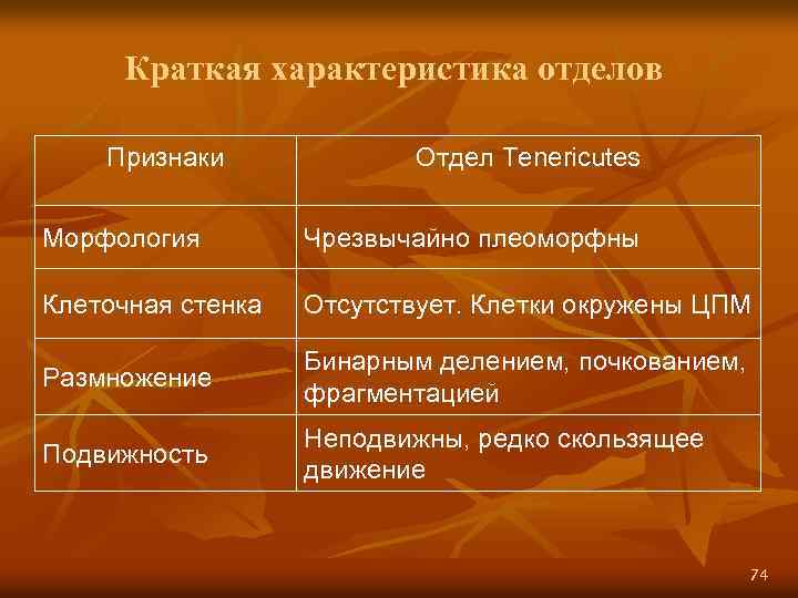 Краткая характеристика отделов Признаки Отдел Tenericutes Морфология Чрезвычайно плеоморфны Клеточная стенка Отсутствует. Клетки окружены