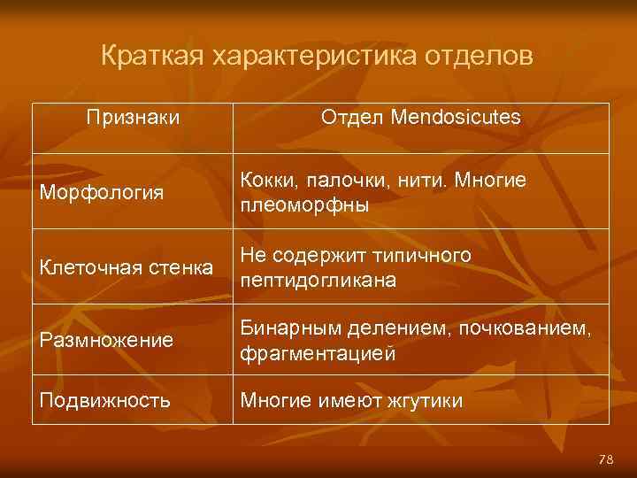 Краткая характеристика отделов Признаки Отдел Mendosicutes Морфология Кокки, палочки, нити. Многие плеоморфны Клеточная стенка