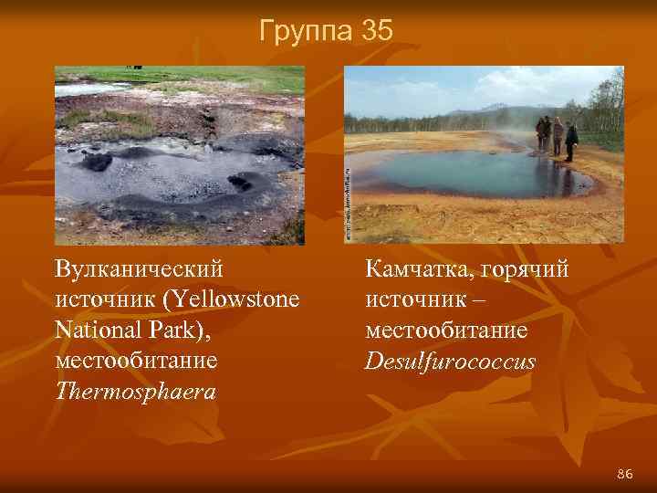 Группа 35 Вулканический источник (Yellowstone National Park), местообитание Thermosphaera Камчатка, горячий источник – местообитание