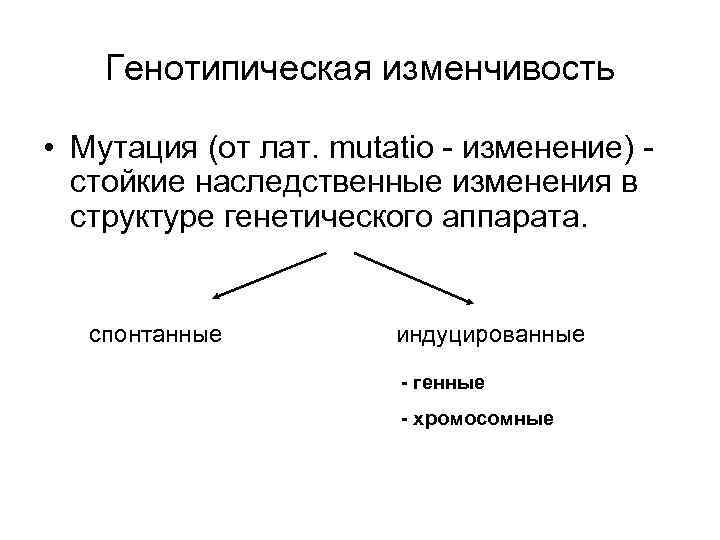 К генотипической изменчивости относят