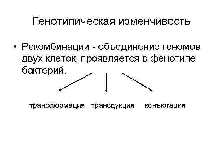 Особенности генотипической изменчивости. Генотипическая изменчивость микроорганизмов. Генотипическая изменчивость бактерий. Механизмы генотипической изменчивости микроорганизмов. Генотипическая изменчивость у бактерий: рекомбинации и мутации.