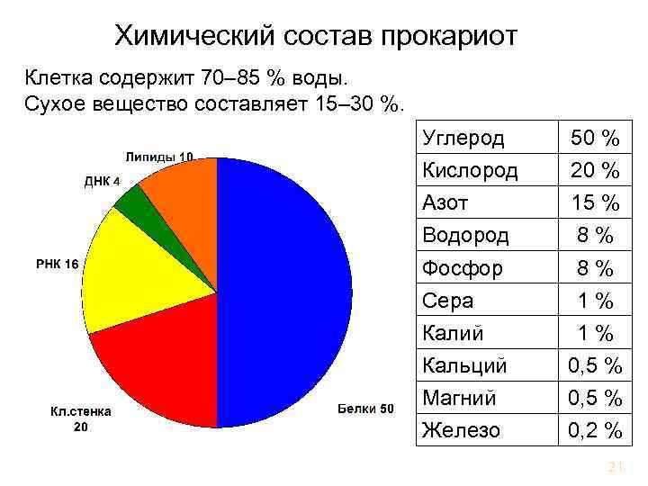 Процент сухой. Химический состав прокариотической клетки. Химический состав прокариотной клетки. Химический состав клеток прокариот. Химический состав микробной клетки.