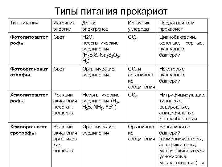 На основе материала параграфа составьте схему отражающую классификацию прокариот и особенности их