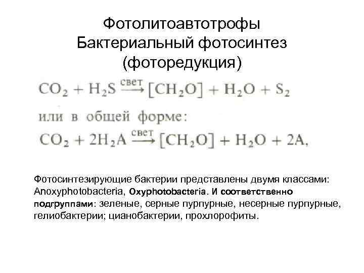 Фотолитоавтотрофы Бактериальный фотосинтез (фоторедукция) Фотосинтезирующие бактерии представлены двумя классами: Anoxyphotobacteria, Oxyphotobacteria. И соответственно подгруппами: