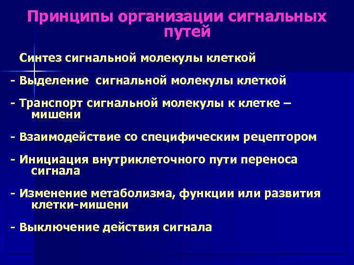 Принципы организации сигнальных путей - Синтез сигнальной молекулы клеткой - Выделение сигнальной молекулы клеткой