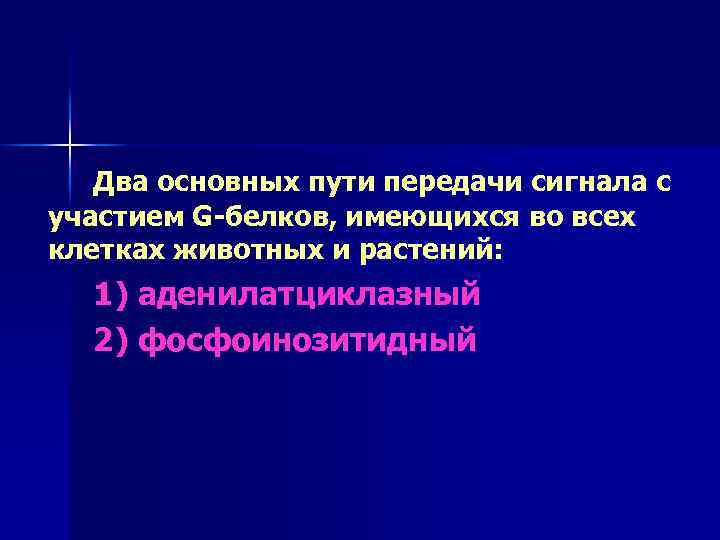 Два основных пути передачи сигнала с участием G-белков, имеющихся во всех клетках животных и