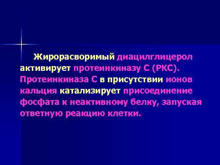 Жирорасворимый диацилглицерол активирует протеинкиназу С (PKC). Протеинкиназа С в присутствии ионов кальция катализирует присоединение