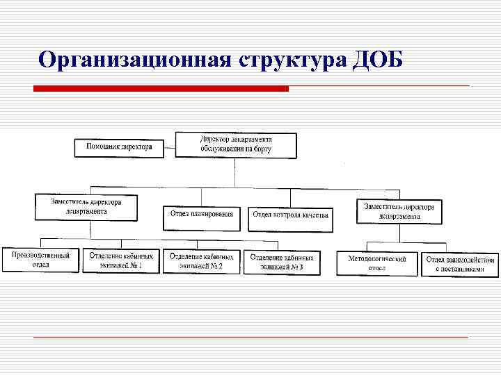 Организационная структура ДОБ 