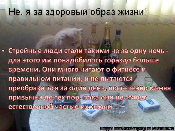  • Стройные люди стали такими не за одну ночь для этого им понадобилось