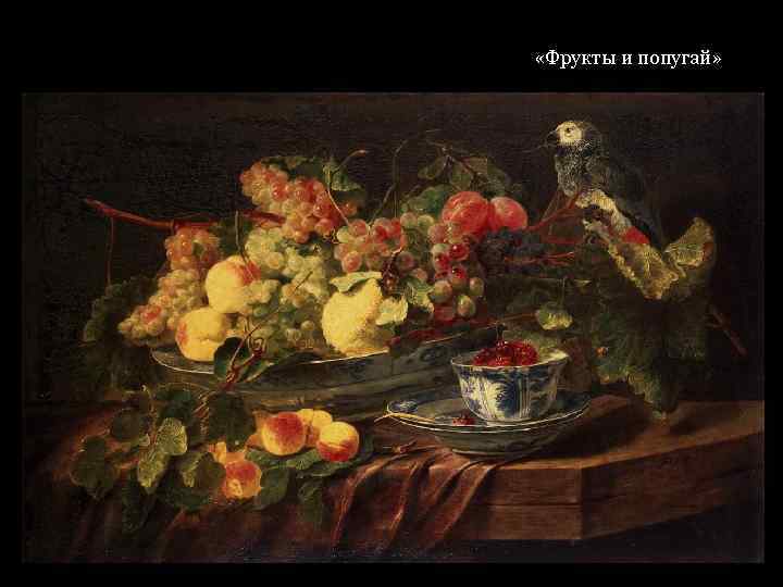  «Фрукты и попугай» 