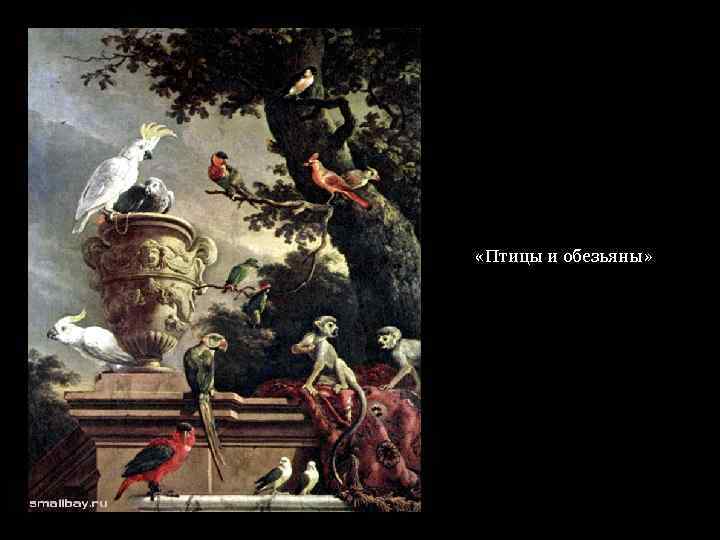  «Птицы и обезьяны» 