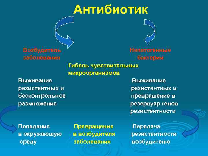  Антибиотик Возбудитель Непатогенные заболевания бактерии Гибель чувствительных микроорганизмов Выживание Выживание резистентных и резистентных