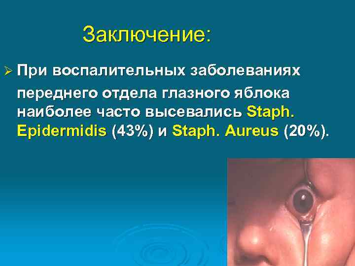 Заключение: Ø При воспалительных заболеваниях переднего отдела глазного яблока наиболее часто высевались Staph. Epidermidis