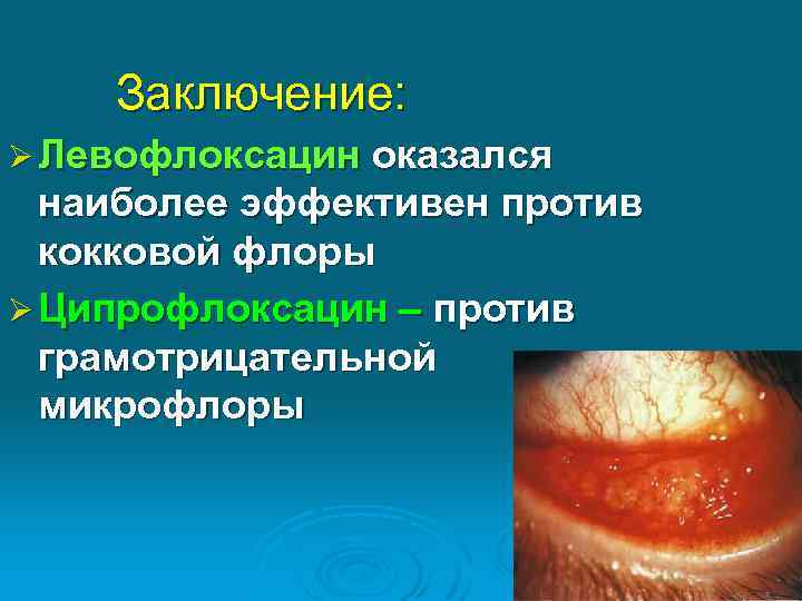 Заключение: Ø Левофлоксацин оказался наиболее эффективен против кокковой флоры Ø Ципрофлоксацин – против грамотрицательной