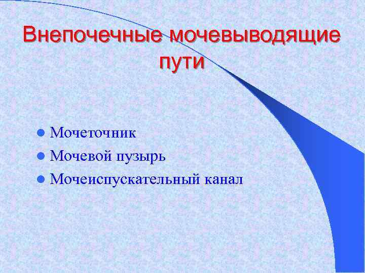Внепочечные мочевыводящие пути l Мочеточник l Мочевой пузырь l Мочеиспускательный канал 