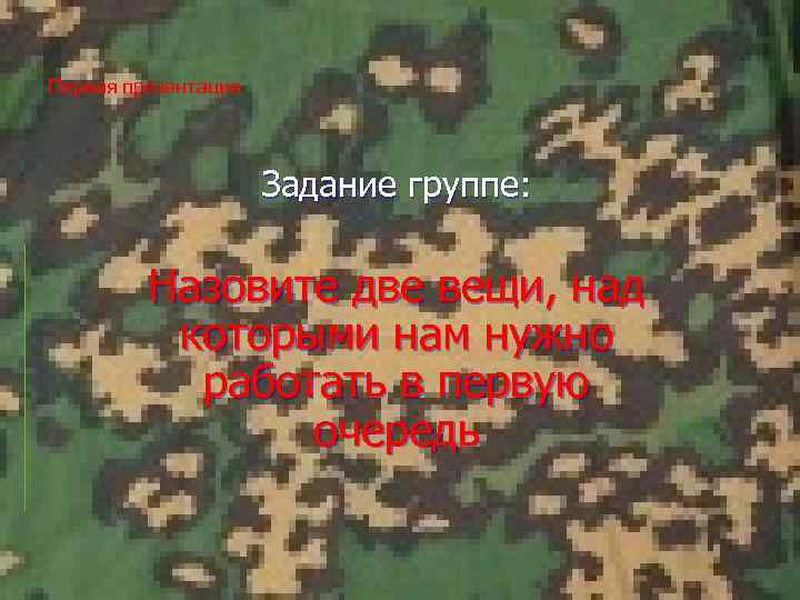 Первая презентация Задание группе: Назовите две вещи, над которыми нам нужно работать в первую