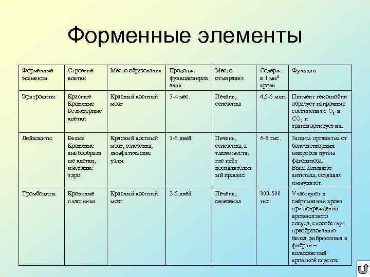 Форменные элементы Строение клетки Место образования Продолж. функциониров ания Место отмирания Содерж. в 1