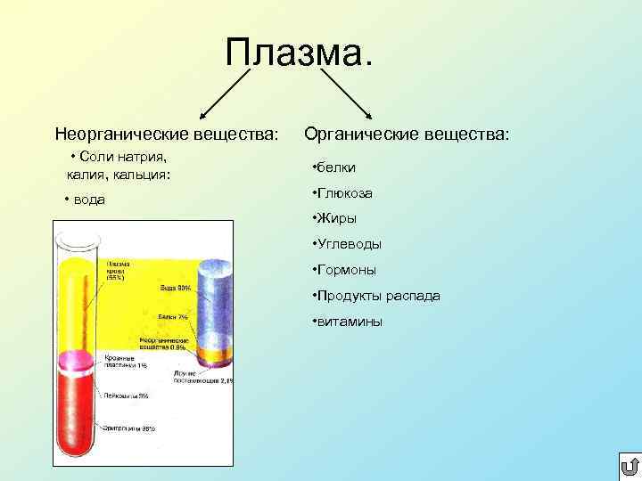 Плазма. Неорганические вещества: Органические вещества: • Соли натрия, кальция: • белки • вода •