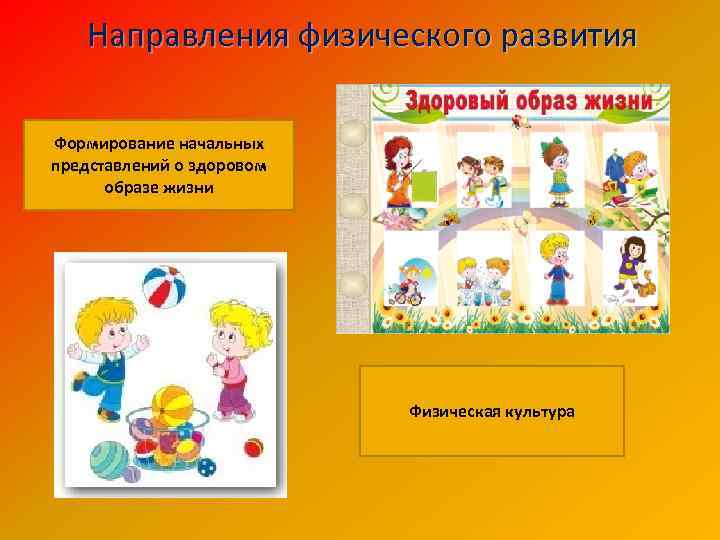 Направления физического развития Формирование начальных представлений о здоровом образе жизни Физическая культура 