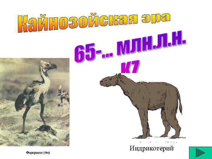 Индрикотерий 