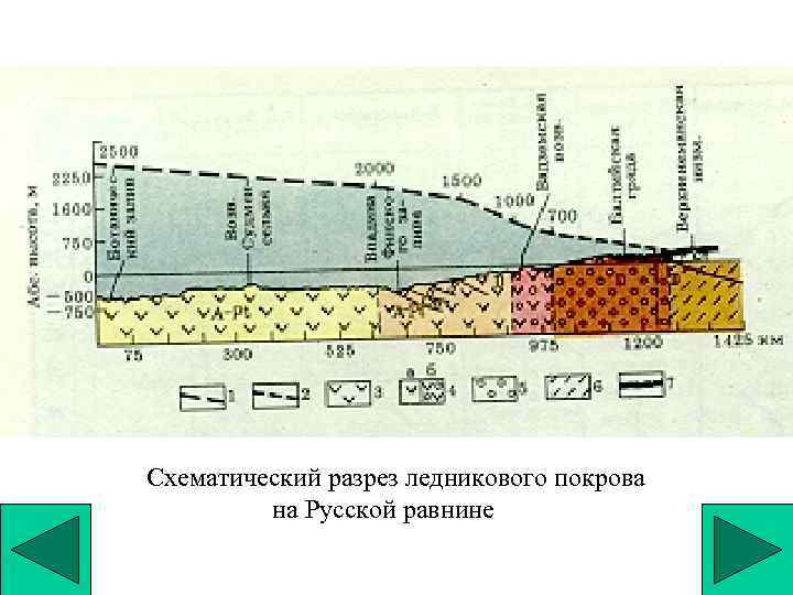 Схематический разрез ледникового покрова на Русской равнине 