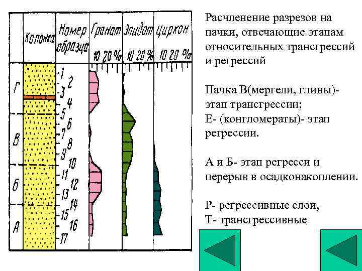 Расчленение разрезов на пачки, отвечающие этапам относительных трансгрессий и регрессий Пачка В(мергели, глины)- этап