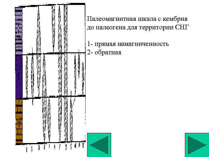 Палеомагнитная шкала с кембрия до палеогена для территории СНГ 1 - прямая намагниченность 2