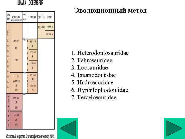 Эволюционный метод 1. Heterodontosauridae 2. Fabrosauridae 3. Loosauridae 4. Iguanodontidae 5. Hadrosauridae 6. Hyphilophodontidae