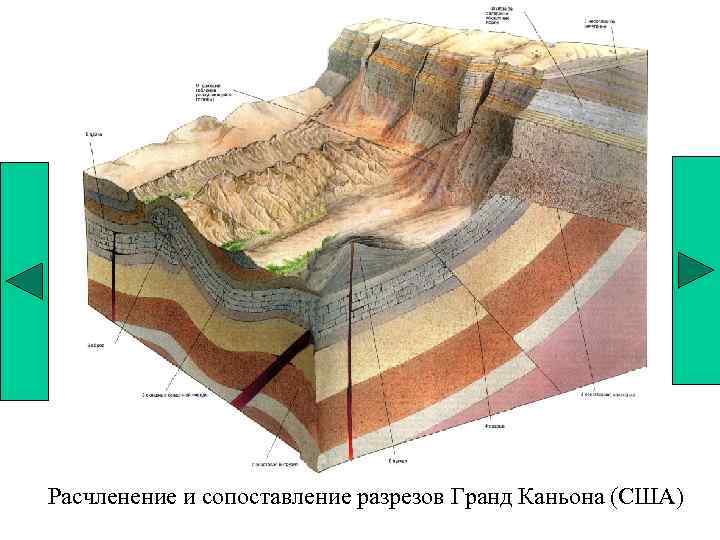 Расчленение и сопоставление разрезов Гранд Каньона (США) 
