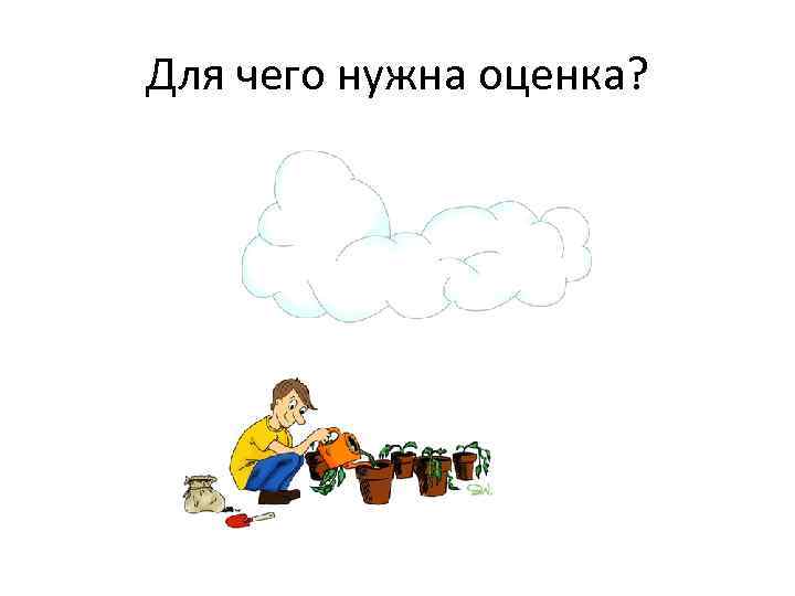 Для чего нужна оценка? 