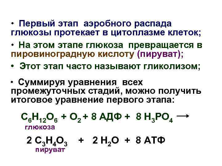  • Первый этап аэробного распада глюкозы протекает в цитоплазме клеток; • На этом