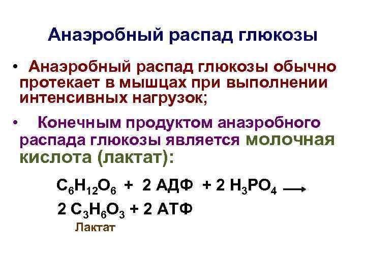 Анаэробный распад глюкозы • Анаэробный распад глюкозы обычно протекает в мышцах при выполнении интенсивных