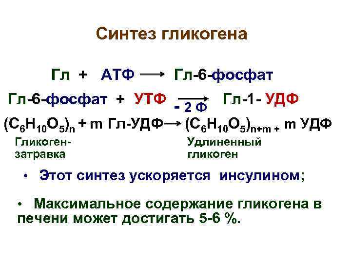 Синтез гликогена Гл + АТФ Гл-6 -фосфат + УТФ - 2 Ф Гл-1 -