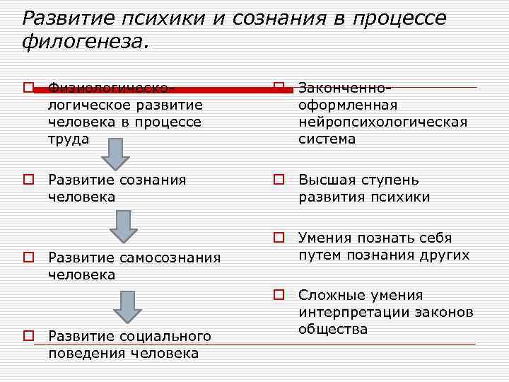 Развитие психики и сознания в процессе филогенеза. o Физиологическое развитие человека в процессе труда