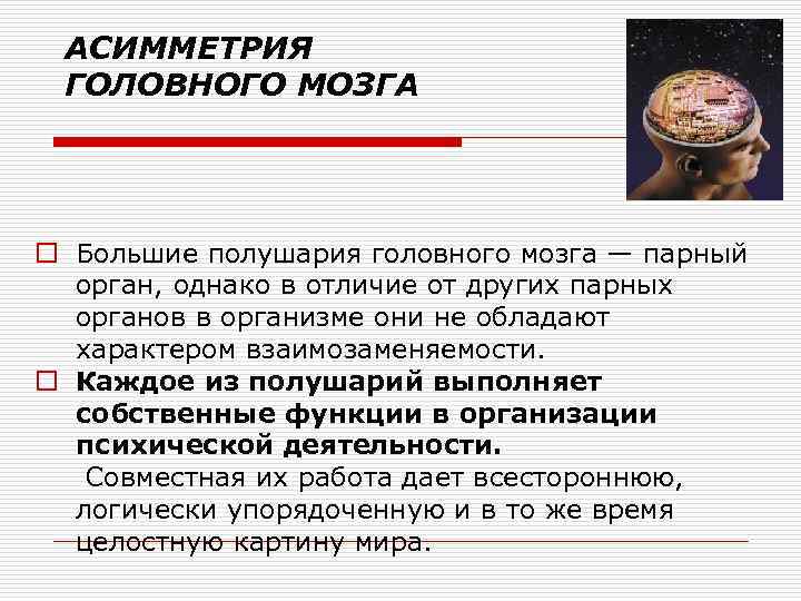 АСИММЕТРИЯ ГОЛОВНОГО МОЗГА o Большие полушария головного мозга — парный орган, однако в отличие