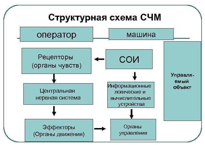 Структурная схема СЧМ оператор Рецепторы (органы чувств) Центральная нервная система Эффекторы (Органы движения) машина