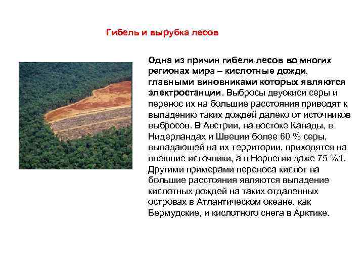 Гибель и вырубка лесов Одна из причин гибели лесов во многих регионах мира –