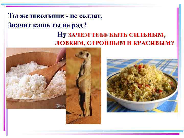 Ты же школьник - не солдат, Значит каше ты не рад ! Ну ЗАЧЕМ